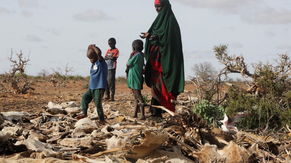 La mujer desplazada internamente Habiba Bile y sus hijos se paran cerca de los cadáveres de su ganado muerto tras las graves sequías cerca de Dollow, Somalia