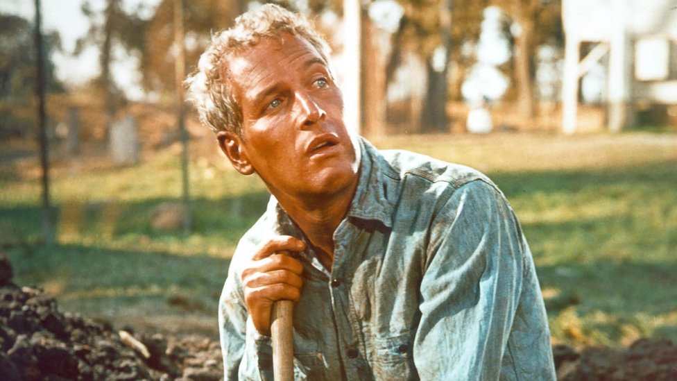 American actor Paul Newman (1925 - 2008) as Luke, forced to dig a grave-sized hole in the film 'Cool Hand Luke', 1967