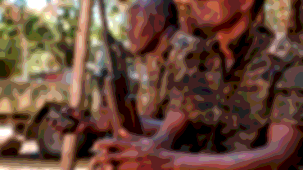 Ethiopian soldiers in Tigray, November 2020 - posterised effect