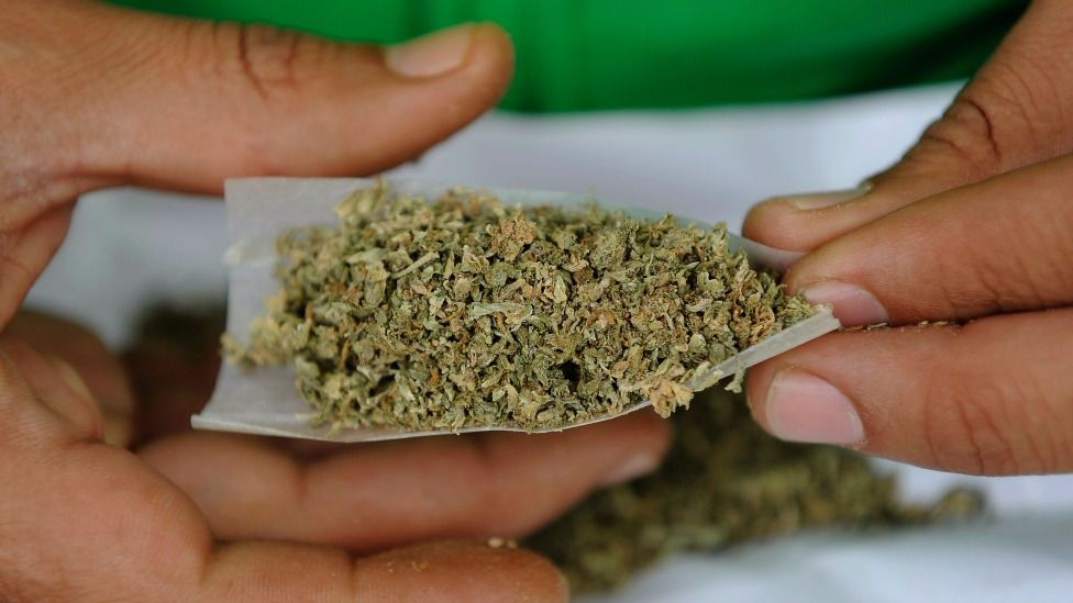 La marihuana es la principal droga de inicio de los adolescentes mexicanos. La marihuana es la principal droga de inicio de los adolescentes mexicanos.