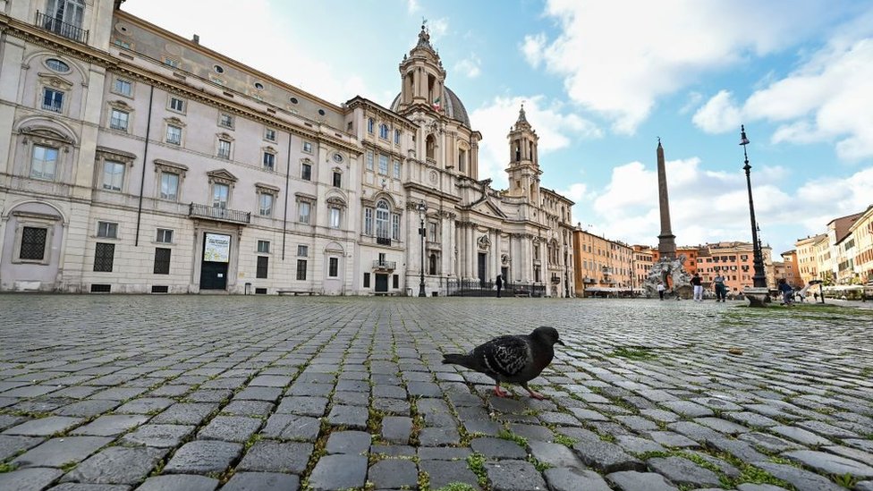 Roma'da bir güvercin