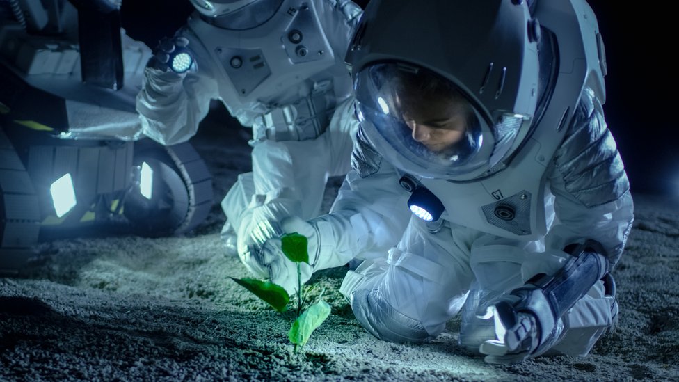 Astronautas con planta