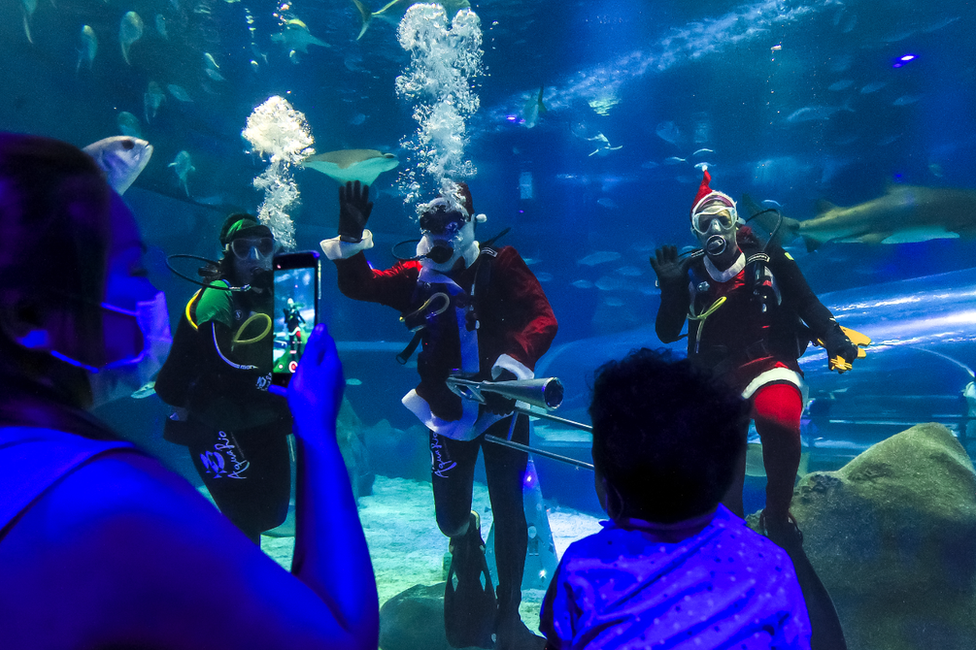 巴西，里約熱內盧，水族館的水箱裏，扮作聖誕老人和夫人及麋鹿的潛水員向遊客致意，祝大家聖誕快樂