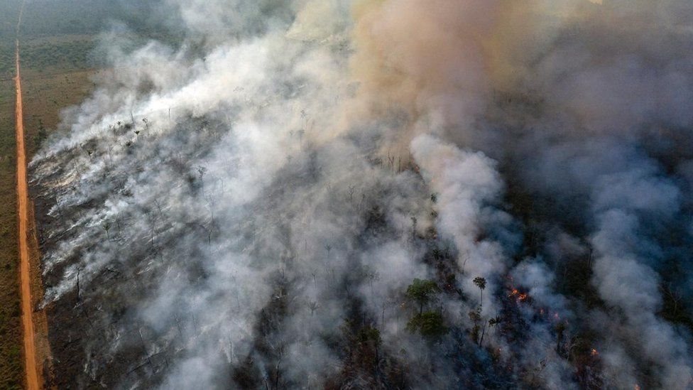 Incendios en la Amazonia