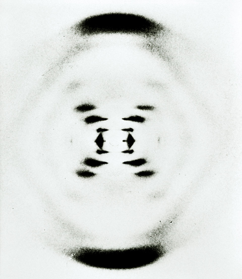la fotografía de difracción de rayos X del ADN (ácido desoxirribonucleico).