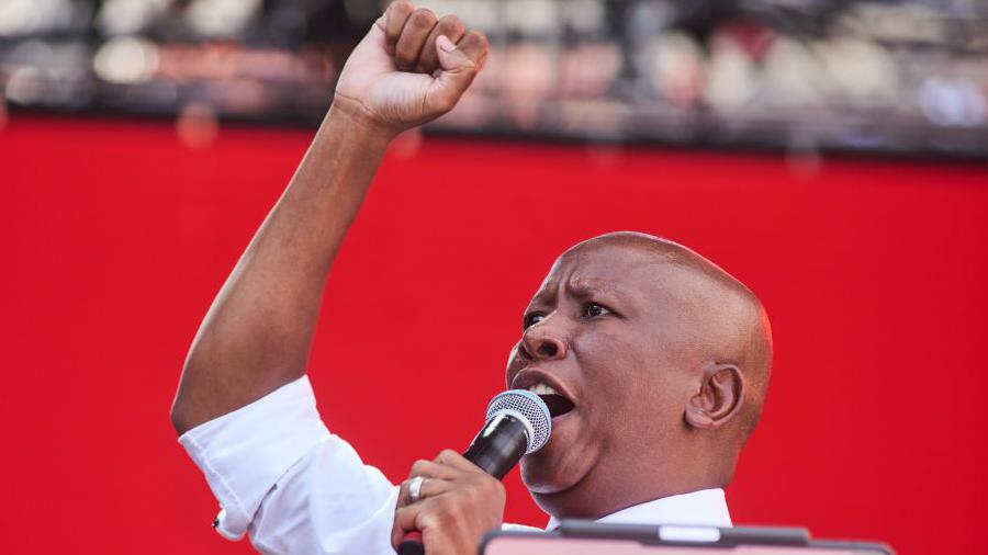 Julius Malema: South African firebrand MP convicted of firing a gun in  public