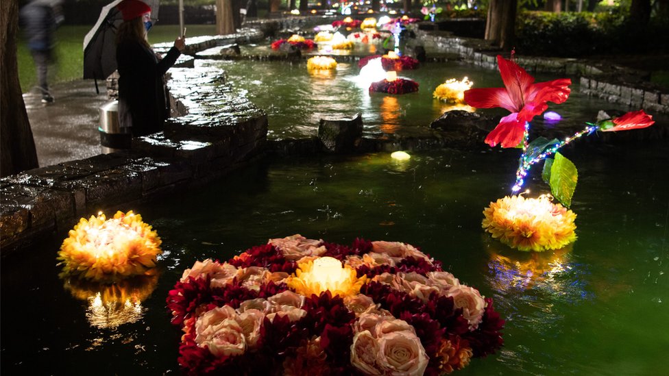 A floating flower display