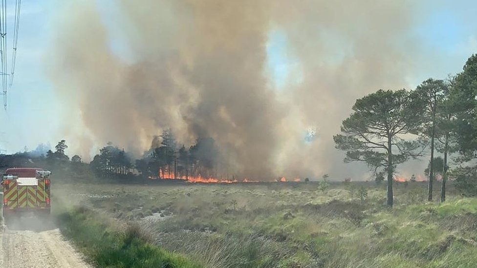 Пожар в лесу Уэрхэм