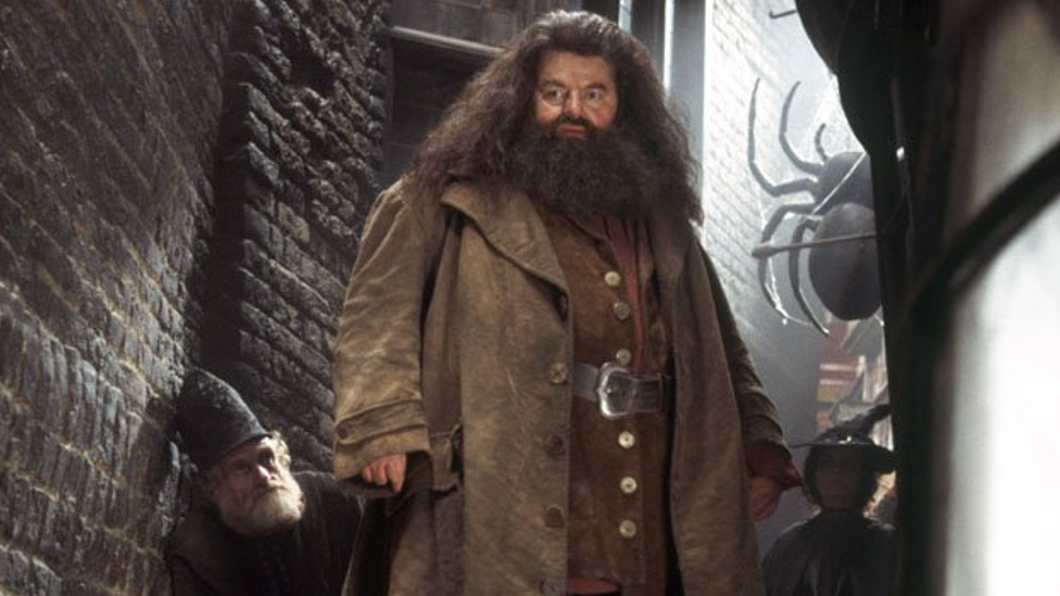 Robbie Coltrane como Hagrid.