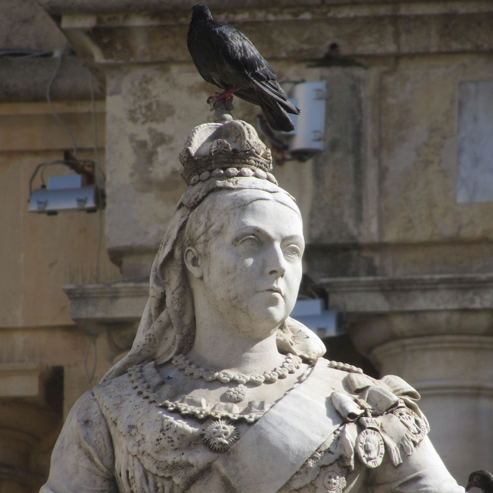 Статуя королевы Виктории на Мальте с голубем на макушке