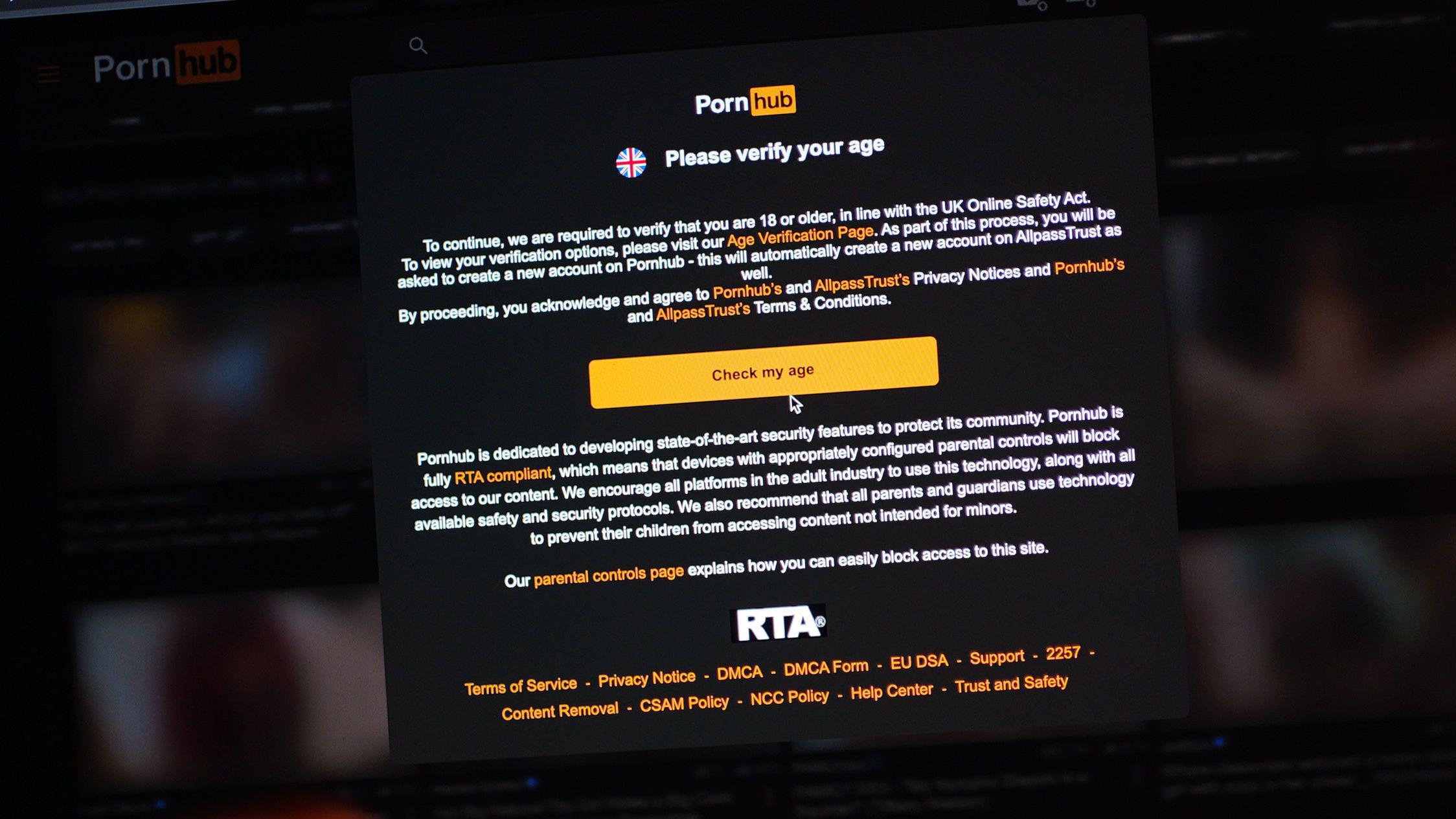 The Data Breach Risk: Why Platforms Fear Age Verification Data - visual representation