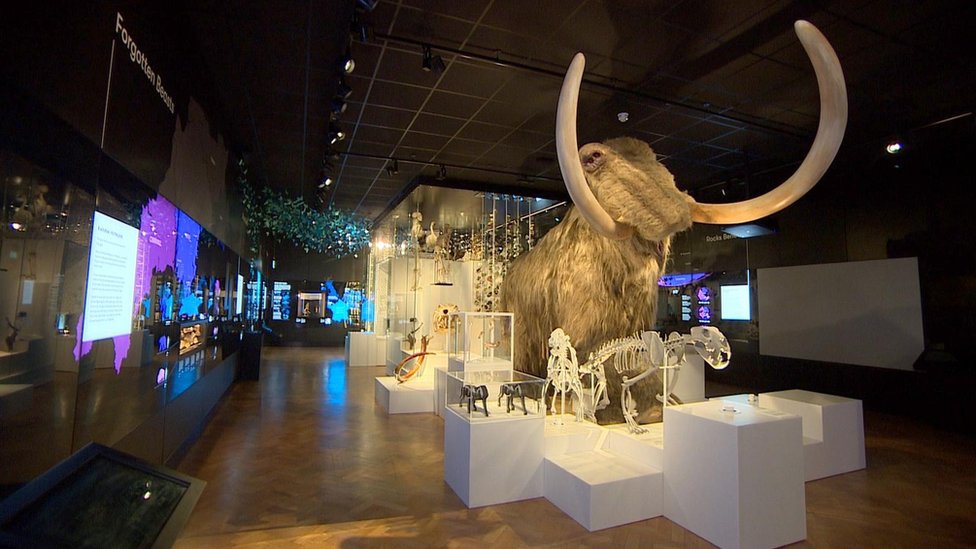 The Box Plymouth £47m arts and heritage complex unveiled BBC News