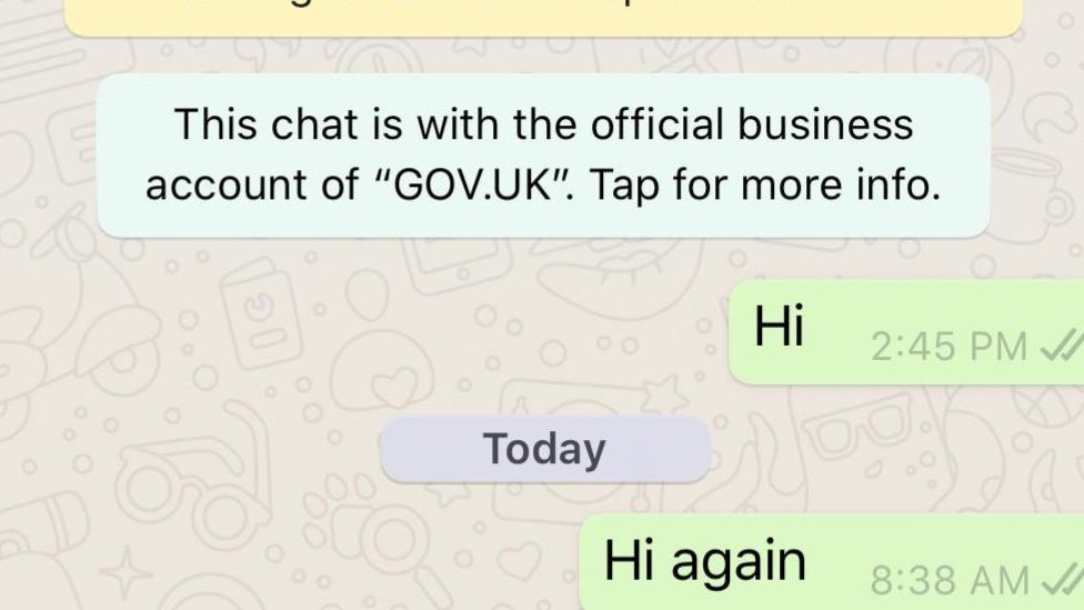 Скриншот сообщения WhatsApp от правительственного бота по коронавирусу