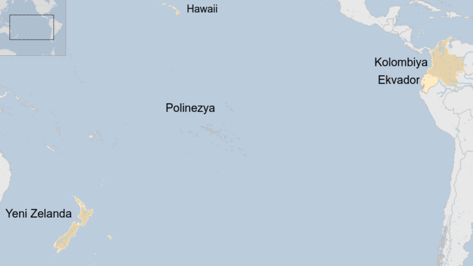 Polinezya, Yeni Zelanda-Hawaii-Paskalya Adası üçgeni içinde bulunan çok sayıda küçük adanın bulunduğu bölgeye verilen isim