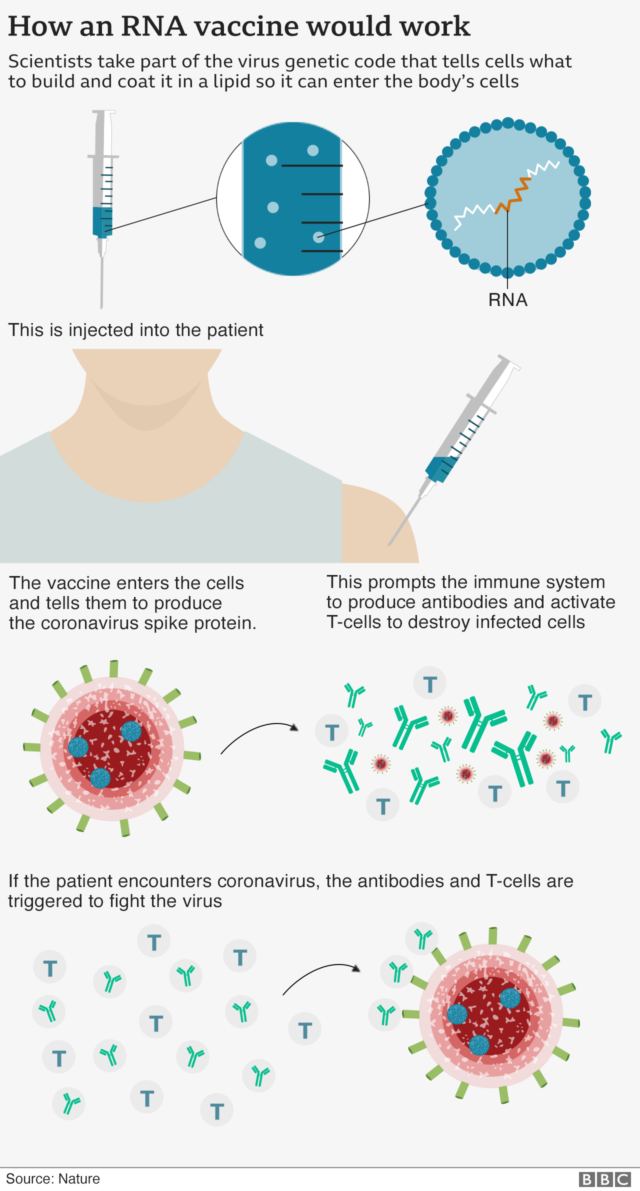 115324752 covid19 how vaccines work2 v3 nc