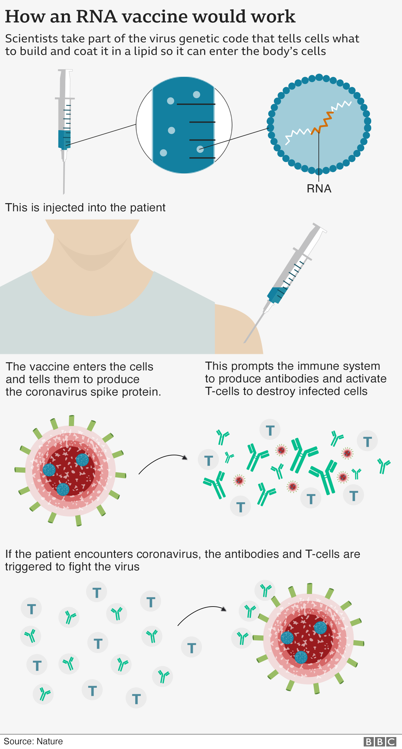 Mrna Vaccine