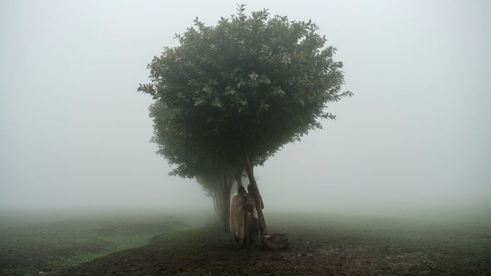 Two children standing under lone tree