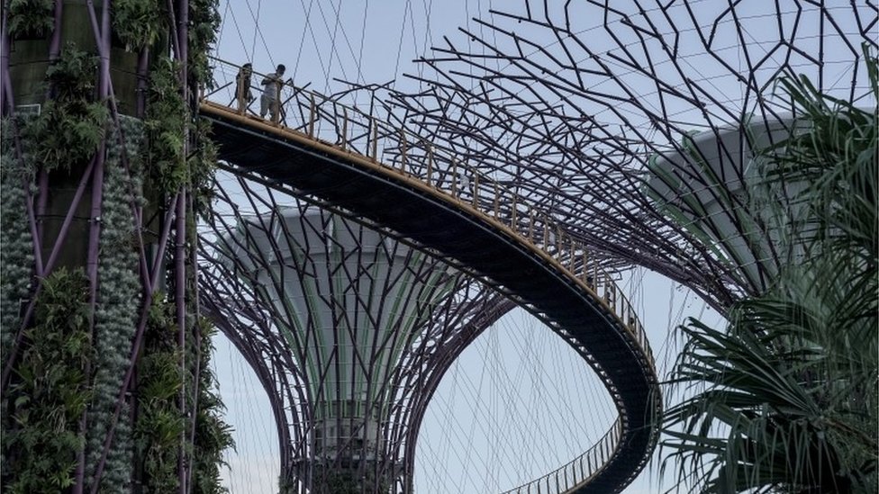 Visitors walk on a skybridge amongst the Supertrees at the Gardens by the Bay in Singapore, 28 September 2020.