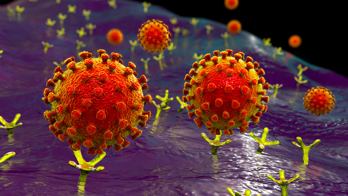 Иллюстрация связывания коронавируса с клеткой человека