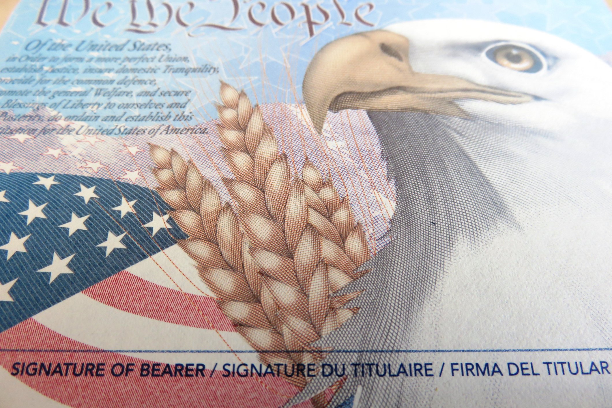 Las páginas interiores de los pasaportes tienen distintivos particulares de cada país. Página interior de pasaporte de EE.UU.