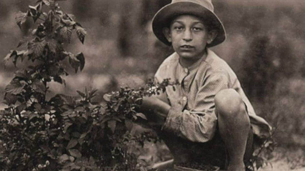 Un niño trabajando en el campo. (Foto: Lewis Hines / Cortesía del Archivo Nacional de Estados Unidos) (Foto: Lewis Hines / Cortesía del Archivo Nacional de Estados Unidos)