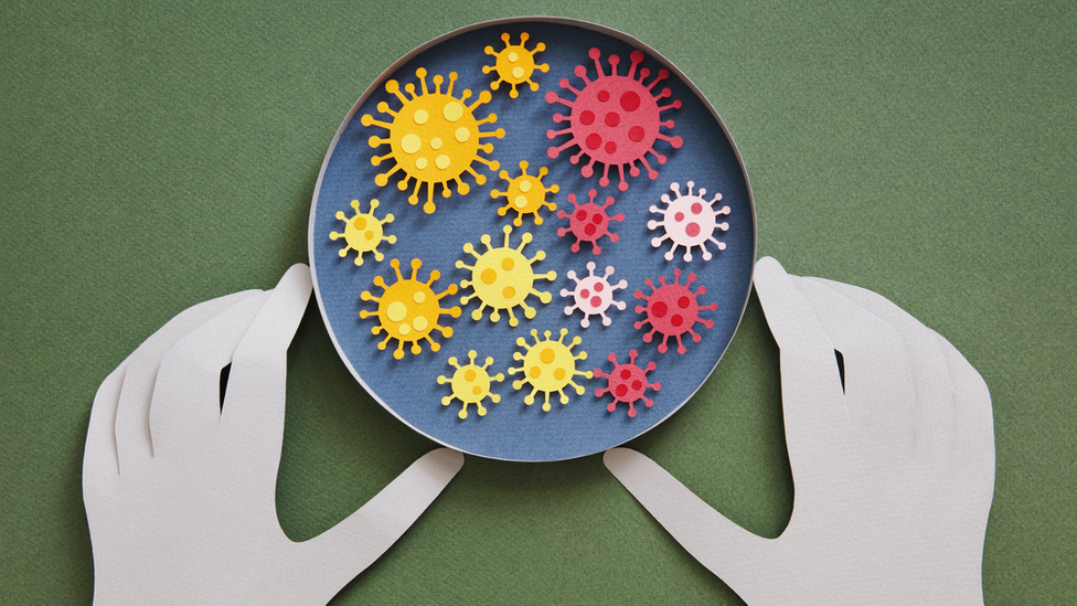 Cartoon of a petri dish containing colourful viruses of different sizes