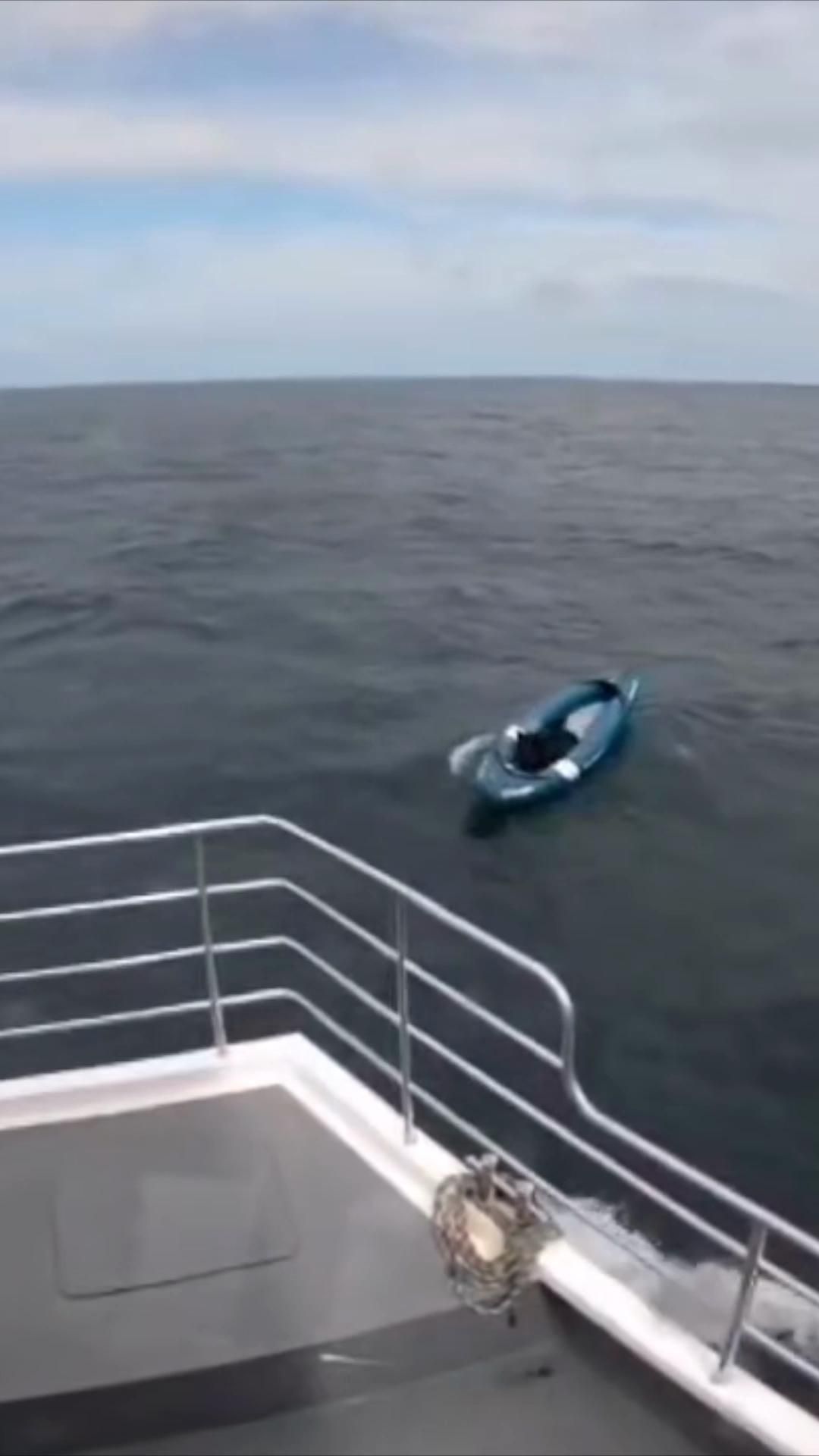 Watch the moment Bruce is rescued from his kayak