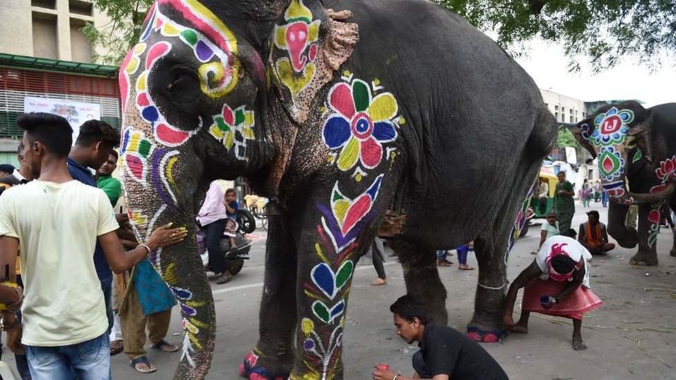 Индийский слон нарисован в преддверии ежегодного индуистского фестиваля Рат Ятра в Ахмедабаде 3 июля 2019 года. - Рат Ятра, ежегодный индуистский фестиваль, который начнется 4 июля этого года, будет проводиться 15 слонами