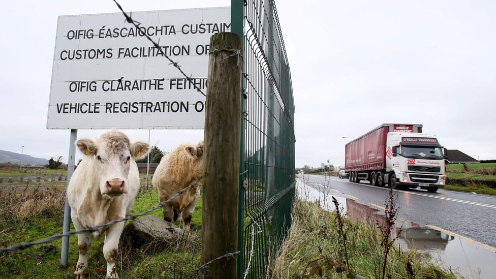 Коровы под знаком в заброшенном ирландском офисе регистрации транспортных средств и таможенного контроля за пределами Дандолка