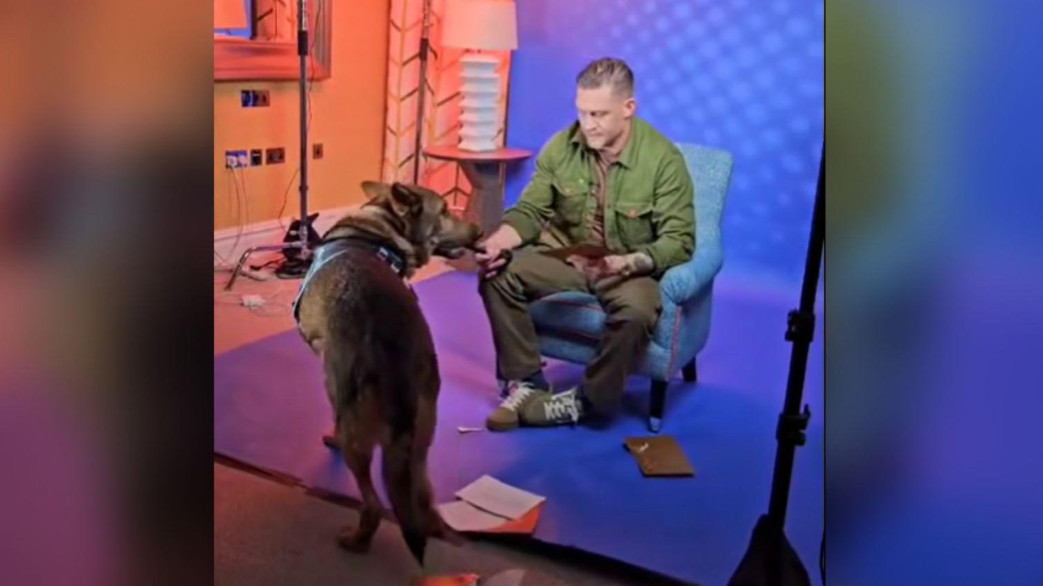 Tom Hardy meeting retired Sussex Police dog at Netflix shoot