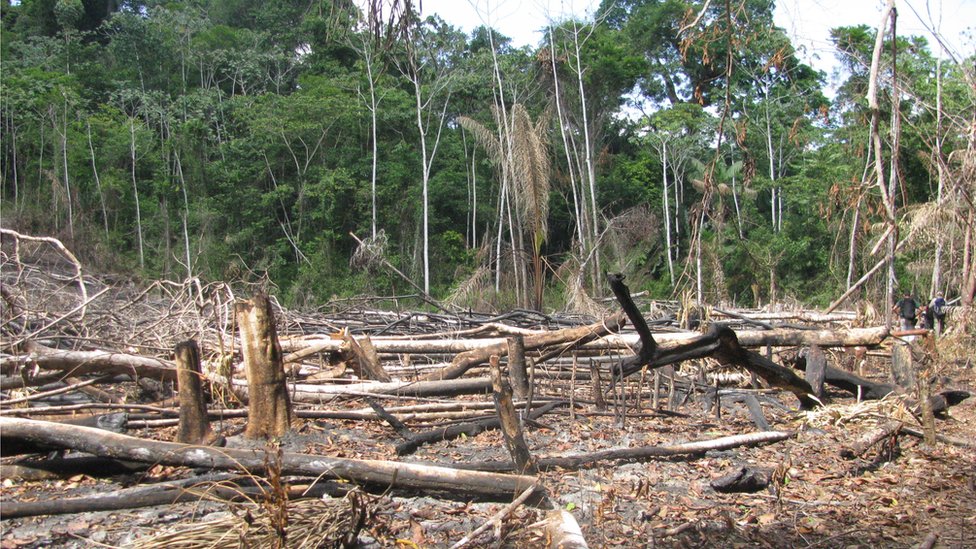 Área desmatada para abertura de garimpo