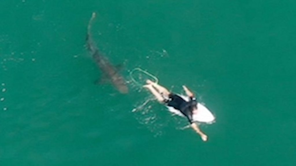 Matt Wilkinson: Former pro-surfer survives close call with shark