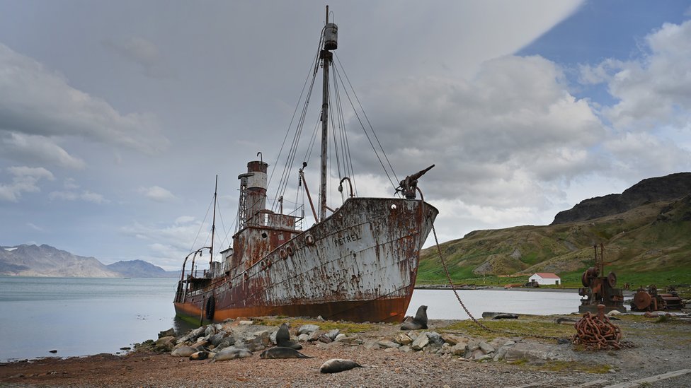 Abandoned ship in Grytviken