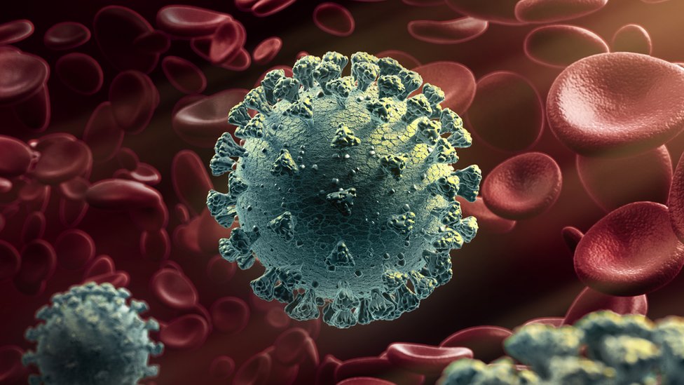 A computer generated graphic of the virus versus red blood cells