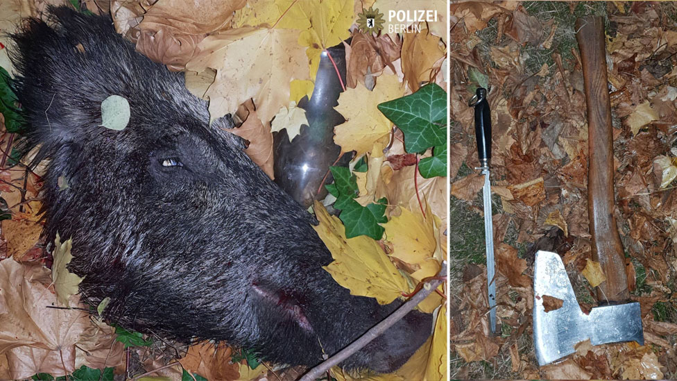 A composite image shows the decapitated head of a boar, left, with an axe and sharpening steel, right