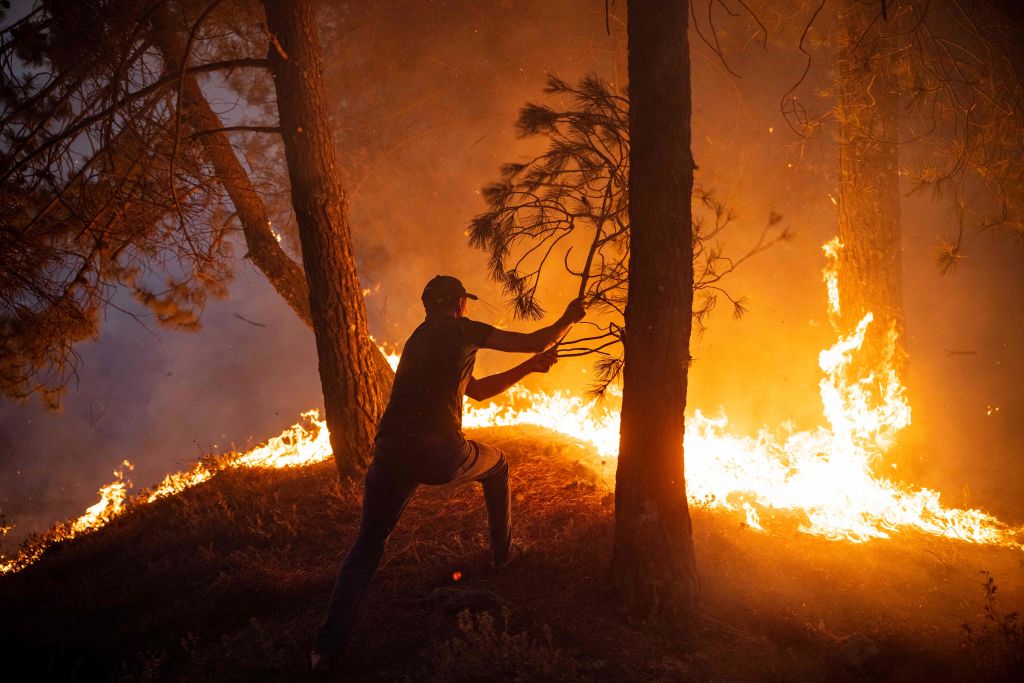 Čovek pokušava da ugasi šumski požar granom, severni Maroko, avgust 2021.
