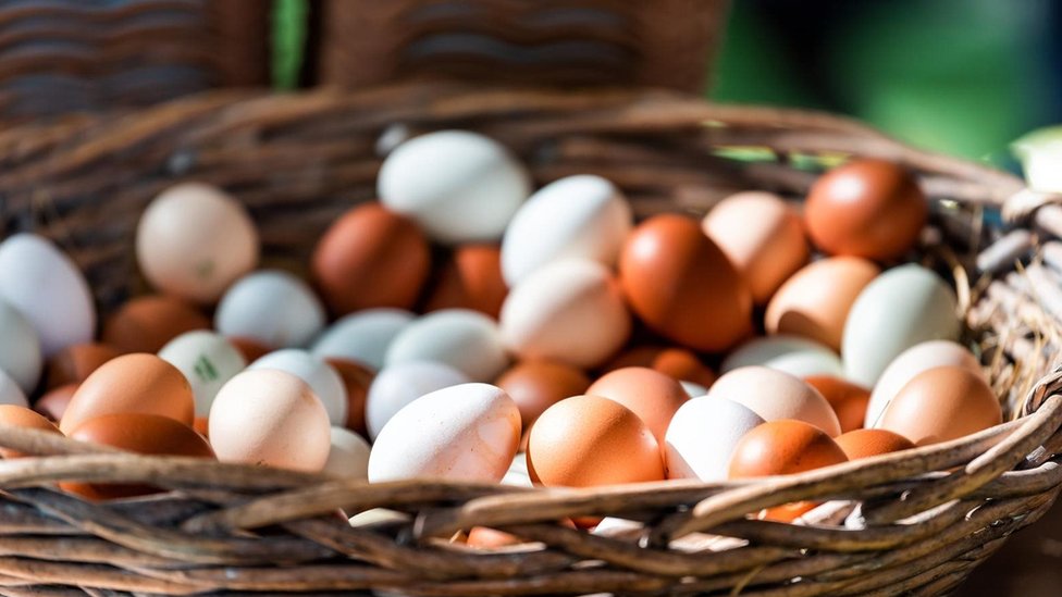 الأنظمة الغذائية النباتية الصرف تفتقد البيض الذي يعد مصدرا رئيسيا لفيتامين ب 12