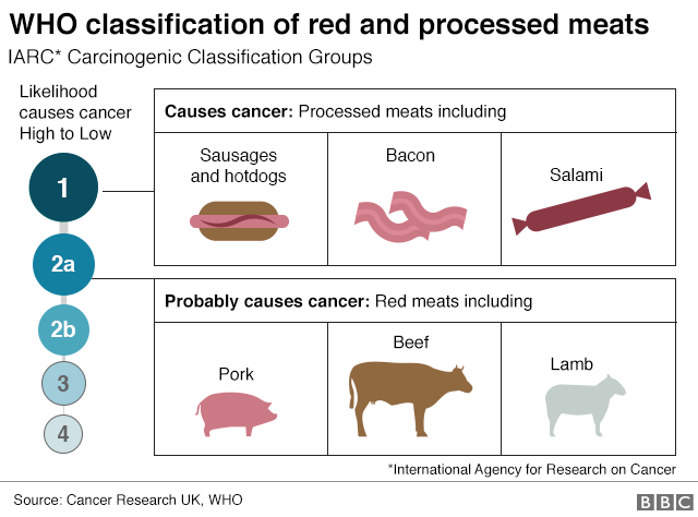 Графика: Классификация продуктов из красного мяса и мясных продуктов