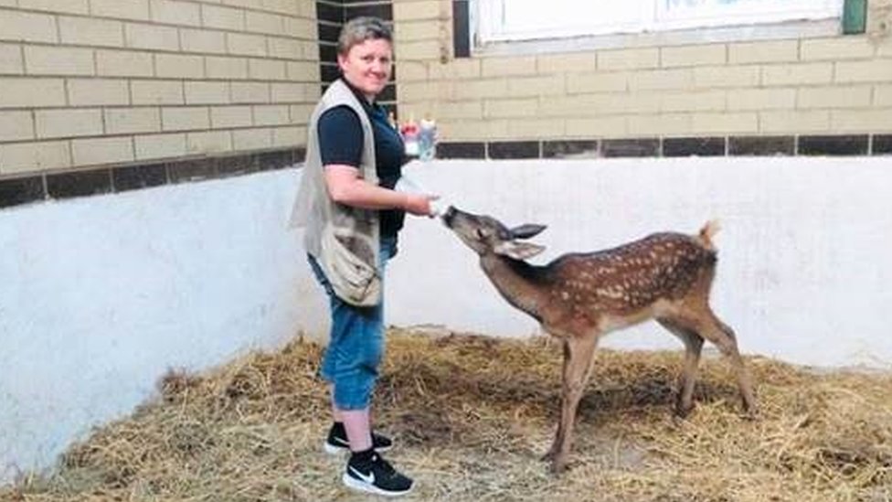 Natalya Popova in 2020 with a roe at her rescue centre