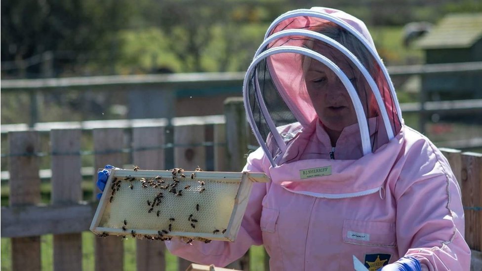 Кэти Хейворд с пчелами на пчеловодческой ферме Фелин