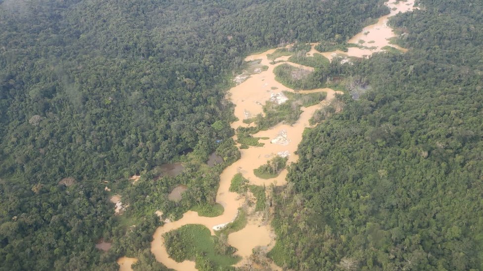 Vista aéra de rio impactado por garimpo em meio à floresta amazônica