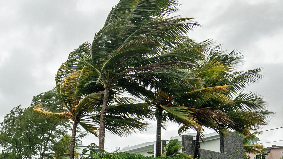 Cyclone Freddy: Rare and deadly storm to hit Mozambique again