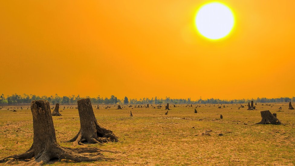 COP26: İklim tepesine rağmen, 'dünya 2,4 derecelik bir sıcaklık artışına gerçek gidiyor'