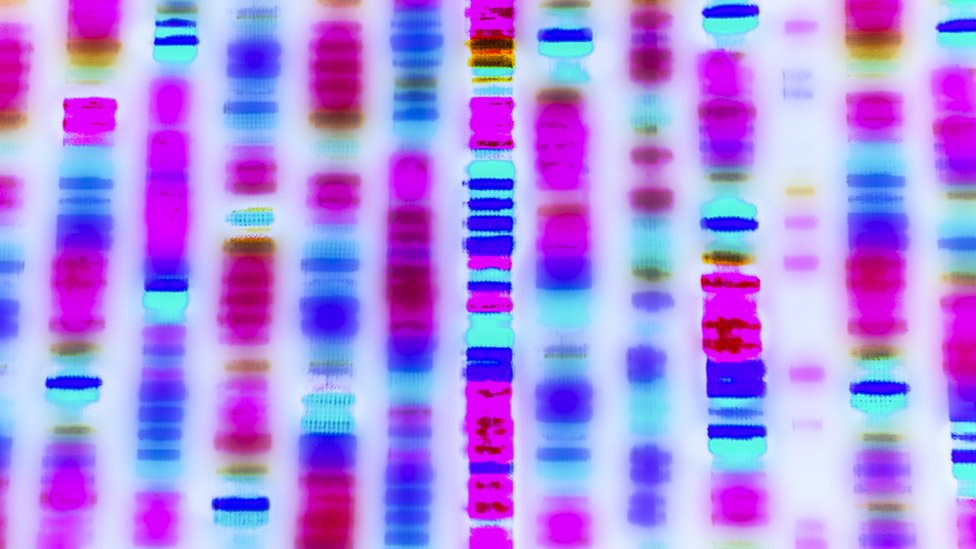 secuenciación de ADN