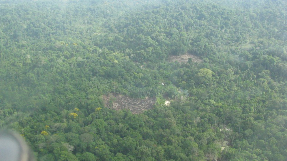 Imagem de desmatamento e do rejeito da lavagem do garimpo em meio à floresta