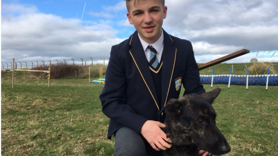 crufts dog show winners