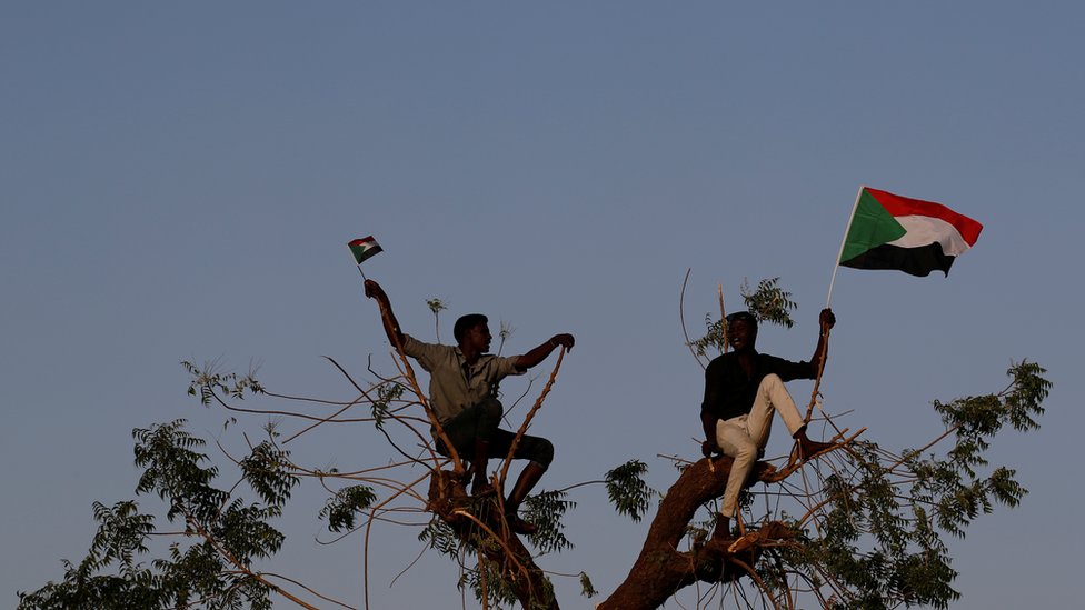 متظاهران فوق شجرة ويرفعان العلم السوداني