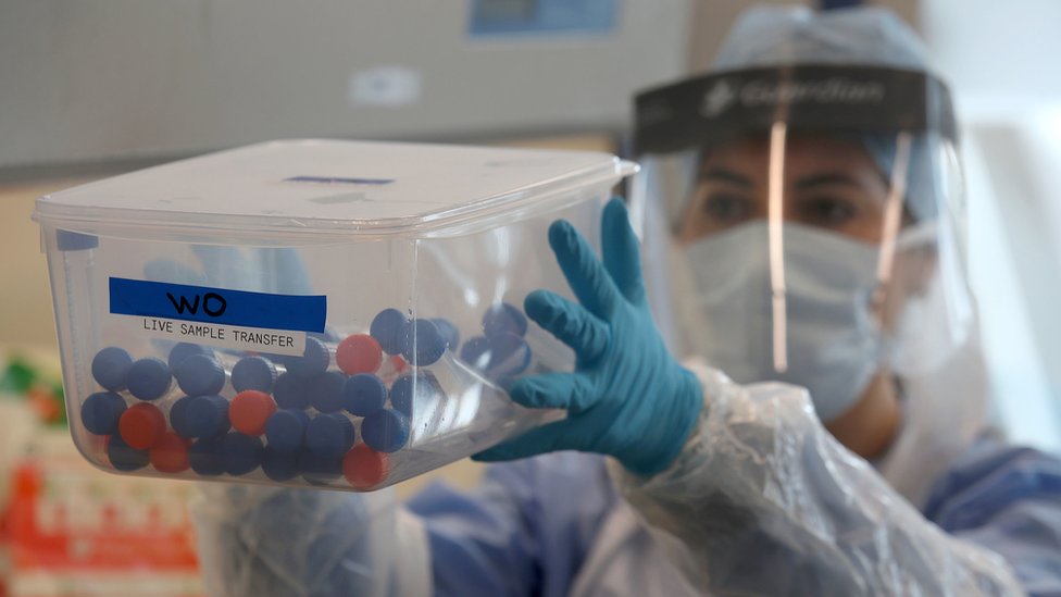 Лаборант держит контейнер с пробирками с пробами на коронавирус