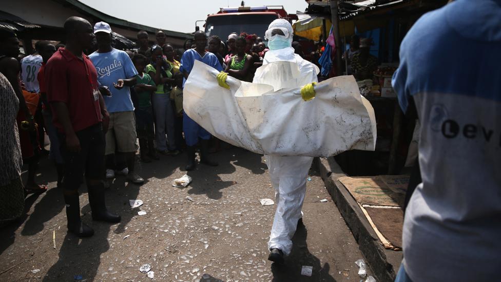 Seorang petugas kesehatan mengangkat pasien yang meninggal karena ebola dalam kantung mayat.