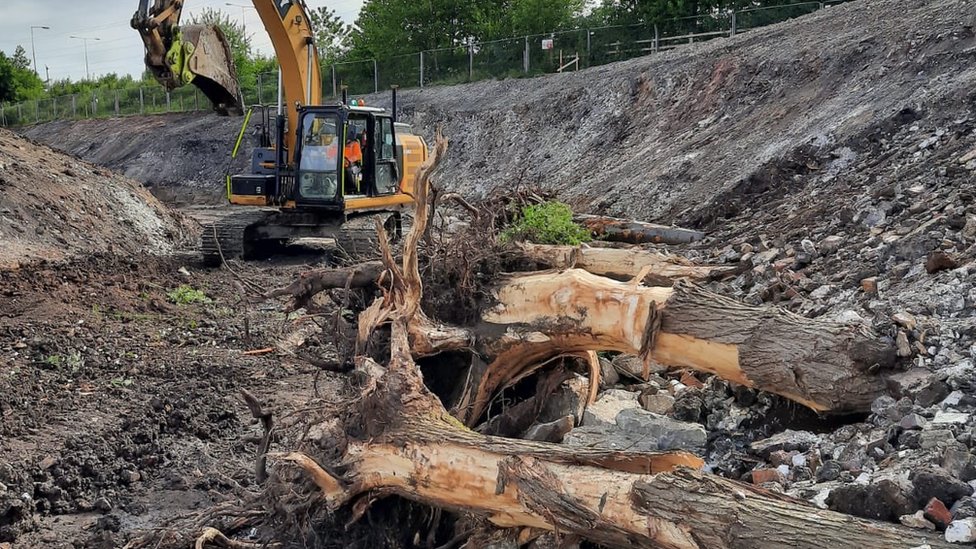 Деревья удалены, чтобы освободить место для нового канала